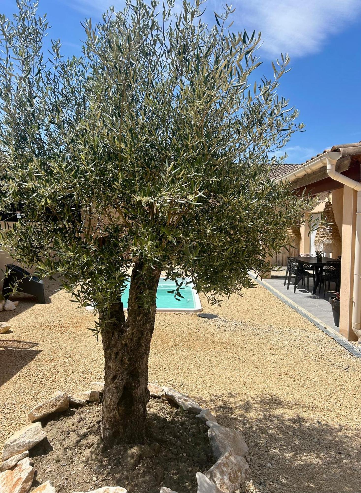 Maison Piscine & Spa Vallon Pont D'Arc Bagian luar foto